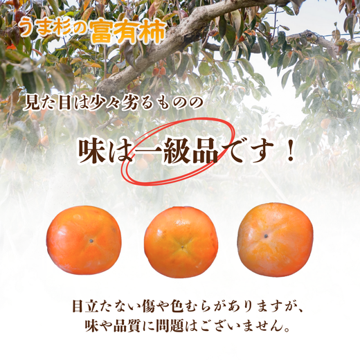 うま杉の富有柿 10kg 2L ※2025年11月中旬～12月中旬頃に順次発送予定