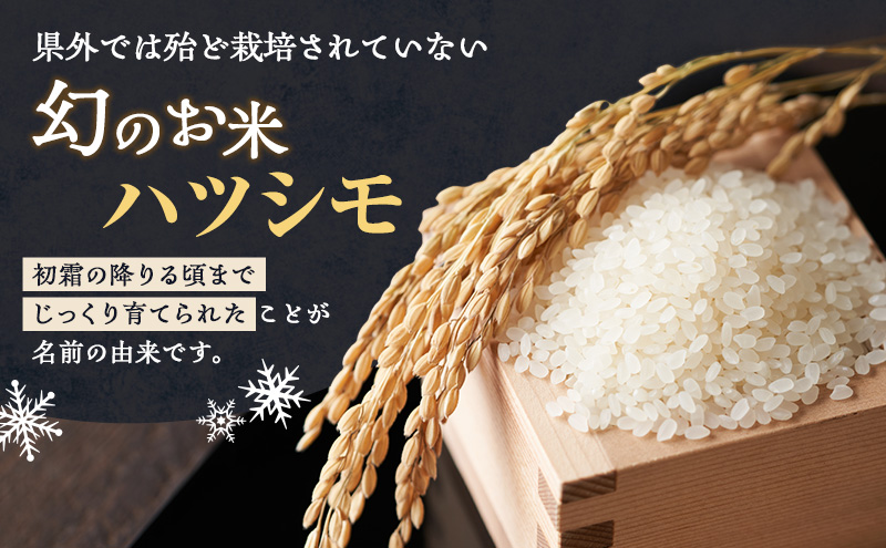 新米 令和7年産 岐阜県産 ハツシモ 10kg ※離島への配送不可 ※2025年11月下旬頃より順次発送予定