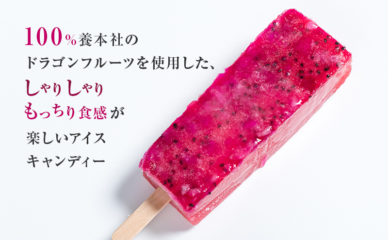 養本社のドラゴンフルーツくずアイス 10本入り ｜アイス デザート スイーツ おやつ 贈答用 贈り物 ギフト プレゼント