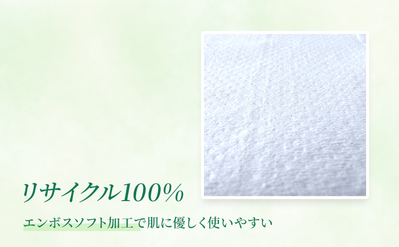 ≪特別寄附額≫トイレットペーパー ハイネ シングル 55m 計96個｜再生紙 芯 備蓄 保存 災害 防災 備蓄品 備蓄用 トイペ トイレ 日用品 消耗品 エンボス ソフト シャワートイレ トイレット ペーパー 岐阜 岐阜県 瑞穂市 ※北海道・沖縄・離島への配送不可