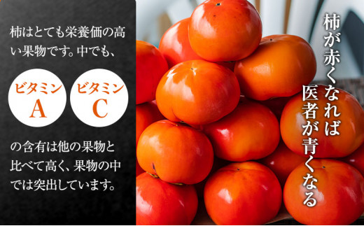 富有柿贈答用3L×10個入り｜果物 フルーツ おやつ デザート 冬 冬の味覚 産地直送 甘柿 代表的 品種 原産地 ※離島への配送不可 ※2025年11月下旬頃より順次発送予定