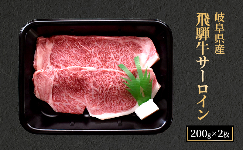 飛騨牛 牛肉 肉 ステーキ サーロイン 400g 200g×2枚 A5 和牛 【岐阜県瑞穂市】 ※離島への配送不可