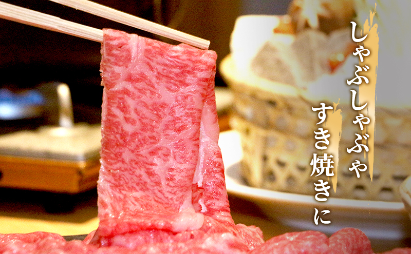 飛騨牛 牛肉 すき焼き しゃぶしゃぶ ロース スライス 600g A5 和牛 【岐阜県瑞穂市】 ※離島への配送不可