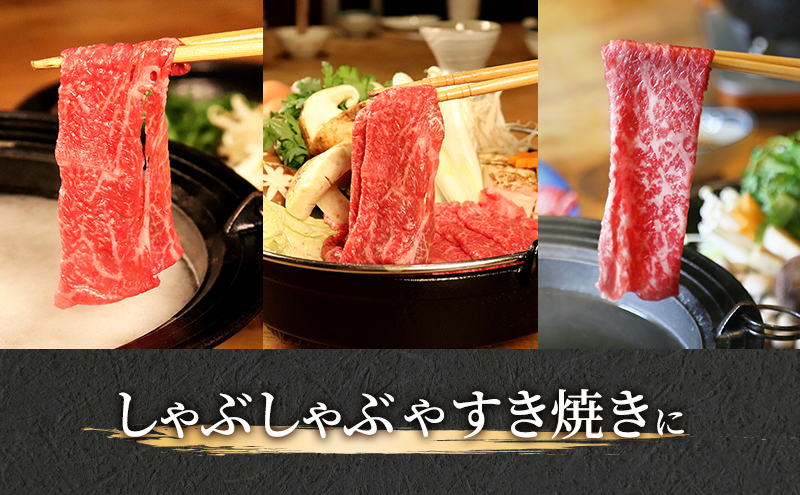 飛騨牛 牛肉 すき焼き しゃぶしゃぶ もも肉 スライス 600g A5 和牛 モモ肉 【岐阜県瑞穂市】 ※離島への配送不可