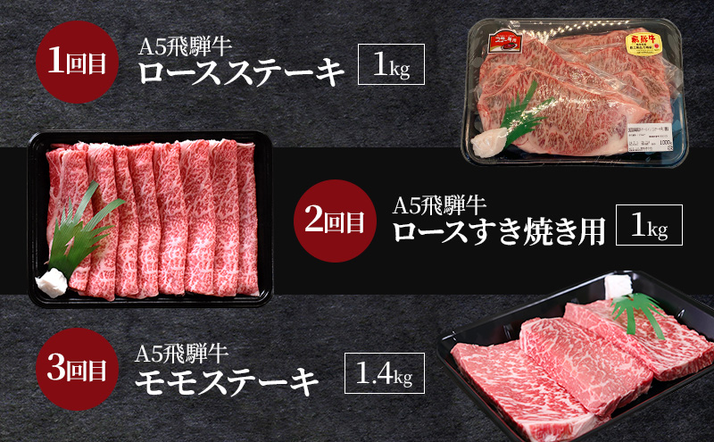飛騨牛 A5 大満足 飛騨牛三昧 6か月 定期便 ステーキ すき焼き 焼肉 ※離島への配送不可