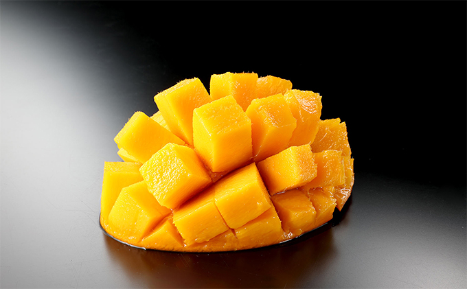 ぎふ清流完熟マンゴー1個入り※クレジット決済のみ｜果物 フルーツ 旬 採れたて お取り寄せ お取り寄せグルメ デザート スイーツ おやつ 贈答用 贈り物 ギフト プレゼント  ※北海道・沖縄県・離島への配送不可 ※2026年6月中旬～7月下旬頃に順次発送予定