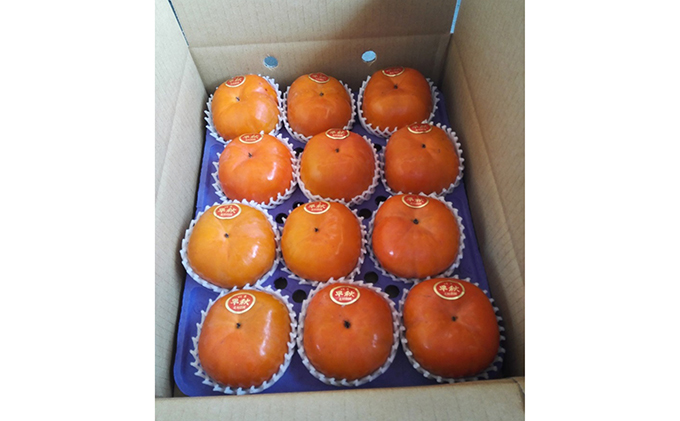 こだわり栽培ポット柿（早秋柿） 2Lサイズ12個入り｜果物類 かき ※離島への配送不可 ※2025年10月中旬～11月上旬頃に順次発送予定