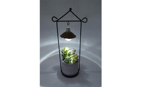 多肉植物　アジアン・プランツルーフとナイトテラリウムしずくのセット インテリア 照明 ライト 　※2025年7月中旬頃より順次発送予定　※離島への配送不可