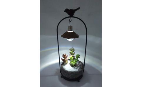 多肉植物　アジアン・プランツバードとナイトテラリウムハートのセット インテリア 照明 ライト 　※2025年7月中旬頃より順次発送予定　※離島への配送不可