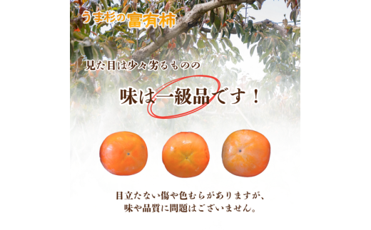 【先行予約】うま杉の富有柿 10kg 30玉(3L) ※2026年11月中旬～12月中旬頃に順次発送予定