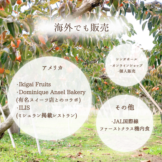 うま杉の富有柿 10kg 2L ※2025年11月中旬～12月中旬頃に順次発送予定