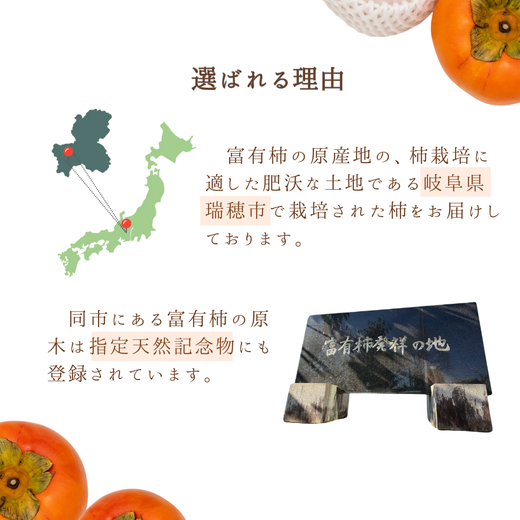 岐阜県瑞穂市産 訳あり富有柿 10kg※2025年11月中旬～12月中旬頃に順次発送予定