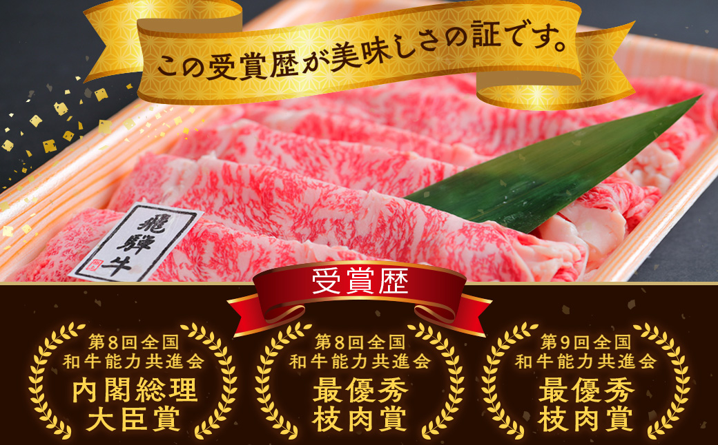 飛騨牛切り落とし 500g｜牛肉 和牛 国産 瑞穂市 岐阜県 ※離島への配送不可