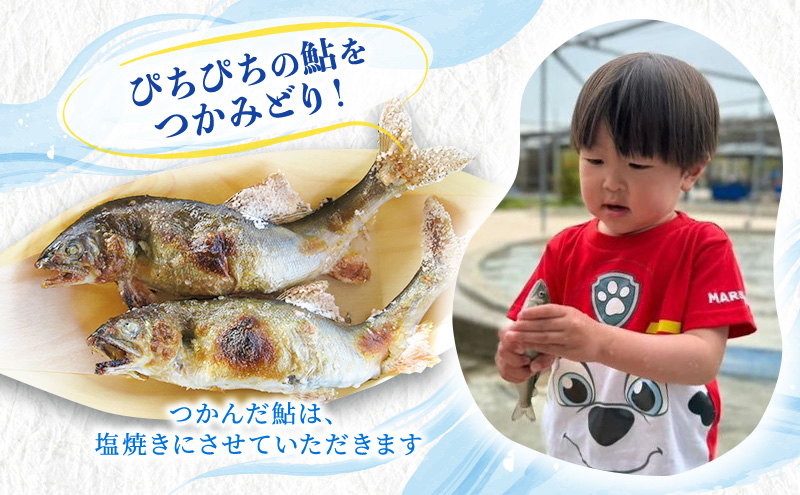 【先行予約】鮎のつかみ取りチケット2名分（6尾） 体験チケット  | 鮎 あゆ アユ 魚介 魚 川魚 塩焼き  体験 体験型 夏休み 子供 お出かけ  岐阜県 瑞穂市 ※離島への配送不可 ※2026年6月上旬～8月下旬頃に順次発送予定