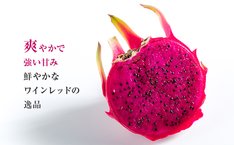 養本社のドラゴンフルーツくずアイス 10本入り ｜アイス デザート スイーツ おやつ 贈答用 贈り物 ギフト プレゼント