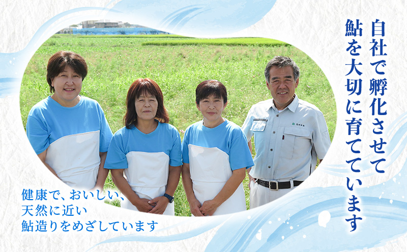 【先行予約】塩焼用 活〆冷凍あゆ 約1kg（9尾～13尾）| 鮎 あゆ アユ 魚介 魚 川魚 塩焼き 鮎めし 雑炊 おかず 簡単 お手軽  岐阜県 瑞穂市 ※北海道・沖縄・離島への配送不可 ※2026年7月上旬～9月中旬頃に順次発送予定