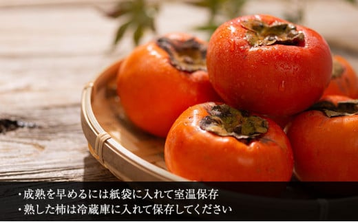 富有柿贈答用3L×10個入り｜果物 フルーツ おやつ デザート 冬 冬の味覚 産地直送 甘柿 代表的 品種 原産地 ※離島への配送不可 ※2025年11月下旬頃より順次発送予定