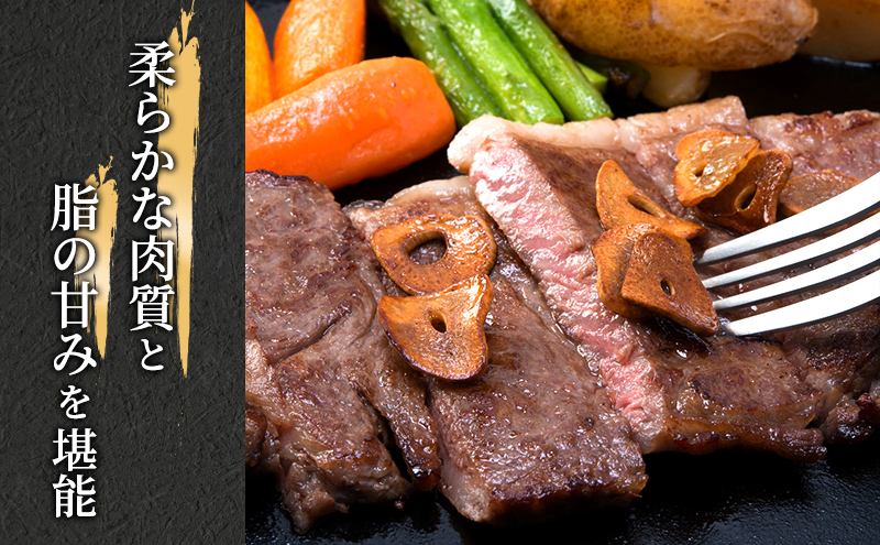 飛騨牛 牛肉 肉 ステーキ サーロイン 600g 200g×3枚 A5 和牛 【岐阜県瑞穂市】 ※離島への配送不可