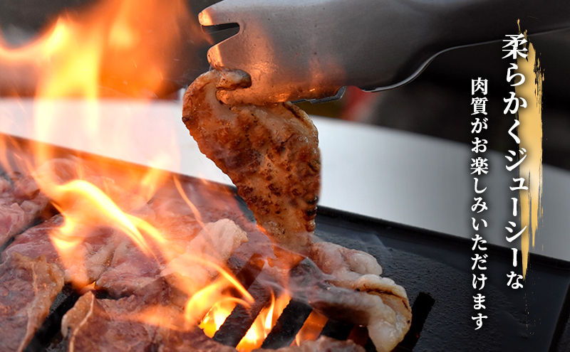飛騨牛 三角バラカルビ 焼肉 1kg A5 希少部位 和牛 牛肉 お肉 カルビ 焼肉用 【岐阜県瑞穂市】 ※離島への配送不可