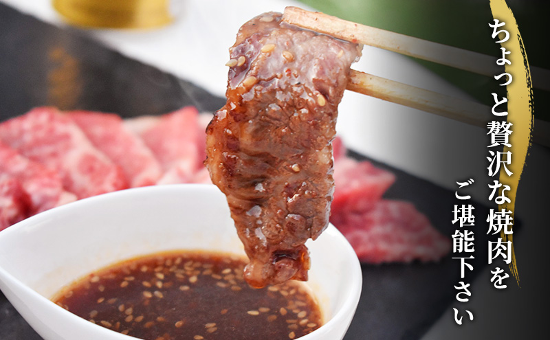 訳あり 飛騨牛 焼き肉用 切り落とし 500g 牛 牛肉 焼肉 BBQ バーベキュー 切り落とし ※離島への配送不可