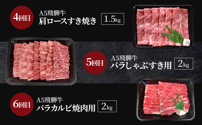 飛騨牛 A5 大満足 飛騨牛三昧 6か月 定期便 ステーキ すき焼き 焼肉 ※離島への配送不可
