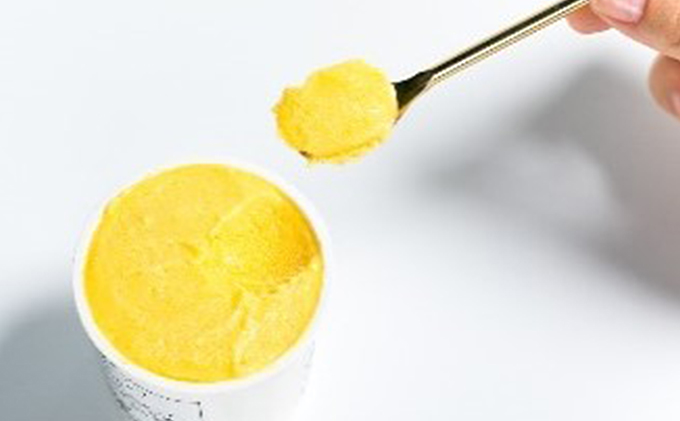 養本社のマンゴージェラート 6個入 ｜アイス デザート スイーツ おやつ 贈答用 贈り物 ギフト プレゼント