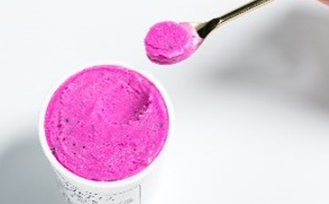 養本社のドラゴンフルーツジェラート 6個入 ｜アイス デザート スイーツ おやつ 贈答用 贈り物 ギフト プレゼント