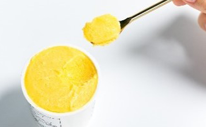 養本社のマンゴー・ドラゴンフルーツジェラートセット 2種×各3個 ｜アイス デザート スイーツ おやつ 贈答用 贈り物 ギフト プレゼント