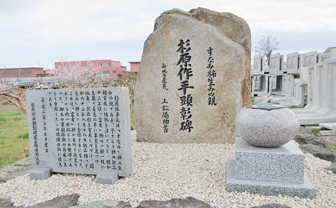 瑞穂市発祥の希少甘柿 すなみ柿 贈答用 ※離島への配送不可 ※2025年11月中旬頃より順次発送予定