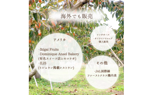 【先行予約】Umai 柿 富有 12玉 3.5kg ※2026年11月中旬～12月中旬頃に順次発送予定