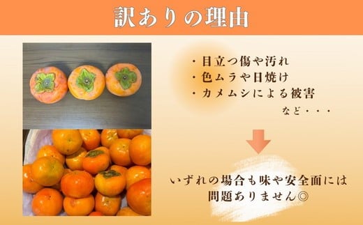 【先行予約】岐阜県瑞穂市産 訳あり富有柿 10kg ※2026年11月中旬～12月中旬頃に順次発送予定