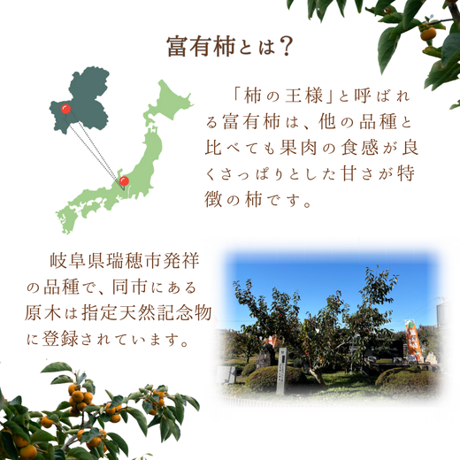 岐阜県瑞穂市産 訳あり富有柿 10kg※2025年11月中旬～12月中旬頃に順次発送予定
