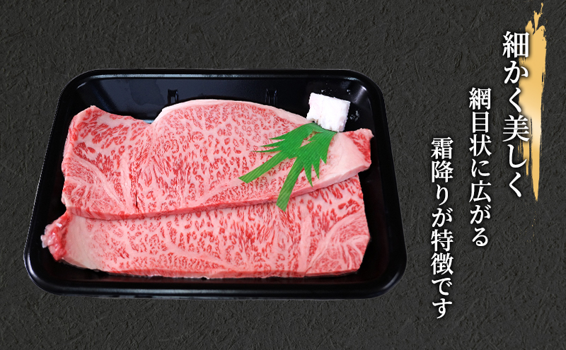 飛騨牛 牛肉 肉 ステーキ サーロイン 400g 200g×2枚 A5 和牛 【岐阜県瑞穂市】 ※離島への配送不可