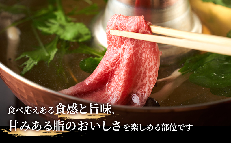 ≪特別寄附額≫飛騨牛 牛肉 すき焼き しゃぶしゃぶ バラ スライス 700g A5 和牛 【岐阜県瑞穂市】 ※離島への配送不可
