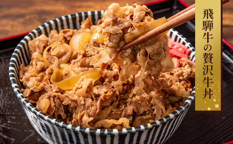 訳あり 飛騨牛 切り落としスライス500g 牛 牛肉 切り落とし カレー ※離島への配送不可