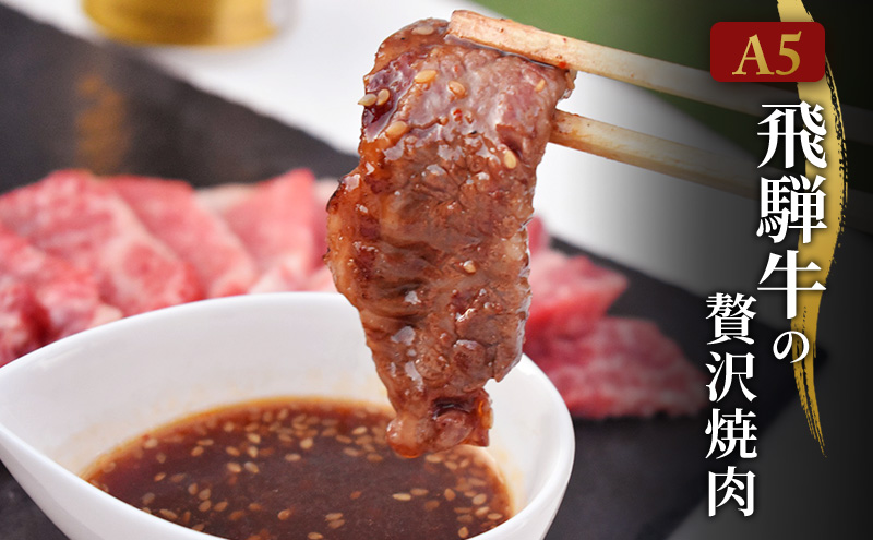 飛騨牛 A5 大満足 飛騨牛三昧 6か月 定期便 ステーキ すき焼き 焼肉 ※離島への配送不可