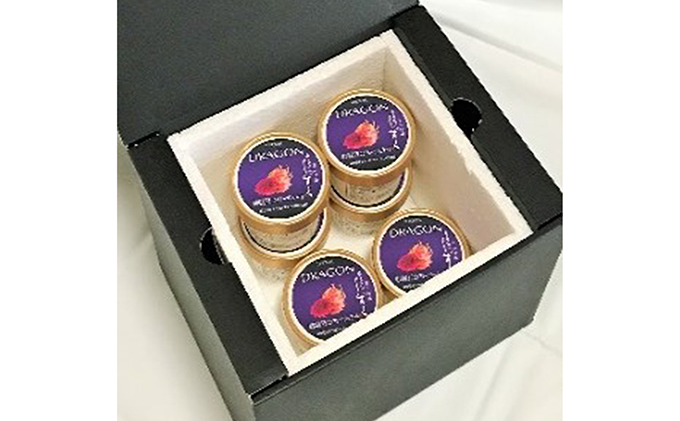 養本社のドラゴンフルーツジェラート 6個入 ｜アイス デザート スイーツ おやつ 贈答用 贈り物 ギフト プレゼント