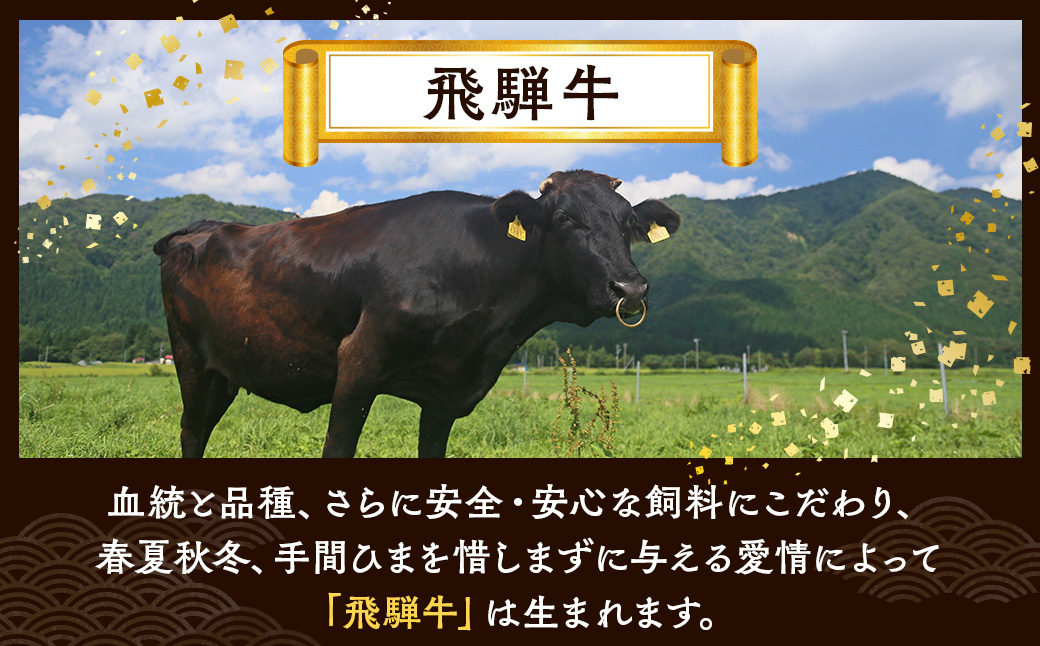 飛騨牛 ヒレ 170g ×10枚｜牛肉 和牛 国産 瑞穂市 岐阜県 ※離島への配送不可