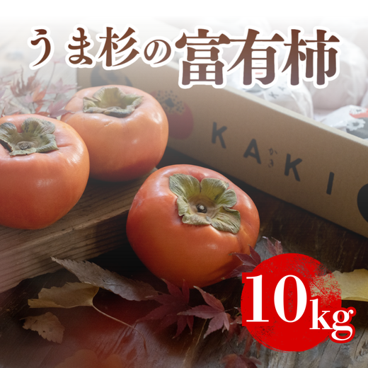 うま杉の富有柿 10kg 2L ※2025年11月中旬～12月中旬頃に順次発送予定