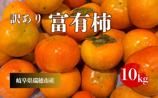岐阜県瑞穂市産 訳あり富有柿 10kg※2025年11月中旬～12月中旬頃に順次発送予定