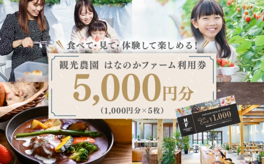 「観光農園はなのかファーム」利用券5枚綴り ｜ チケット 体験チケット いちご狩り カフェ お出かけ 休日 ※離島への配送不可