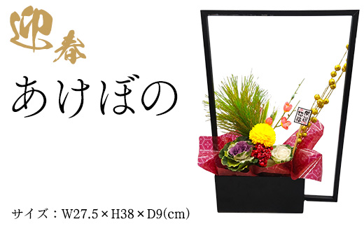 迎春　あけぼの ※2025年12月中旬～12月下旬頃に順次発送予定