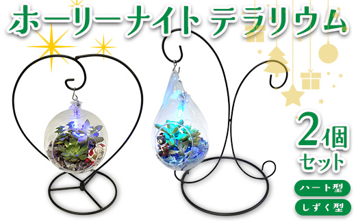 ホーリーナイトテラリウム2個セット（ハート型、しずく型）｜多肉植物 テラリウム クリスマス ギフト 贈答用 贈り物 プレゼント  ※2025年12月中旬～12月下旬頃に順次発送予定