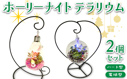 ホーリーナイトテラリウム2個セット（ハート型、電球型）｜多肉植物 テラリウム クリスマス ギフト 贈答用 贈り物 プレゼント  ※2025年12月中旬～12月下旬頃に順次発送予定