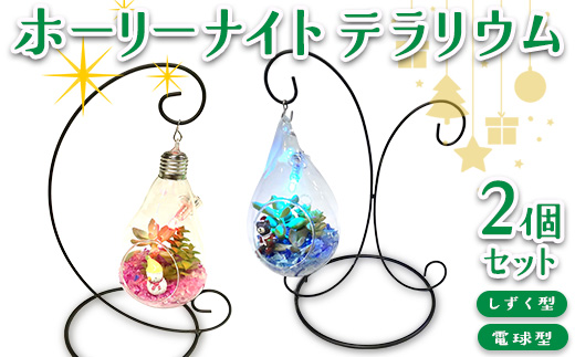 ホーリーナイトテラリウム2個セット（しずく型、電球型）｜多肉植物 テラリウム クリスマス ギフト 贈答用 贈り物 プレゼント  ※2025年12月中旬～12月下旬頃に順次発送予定