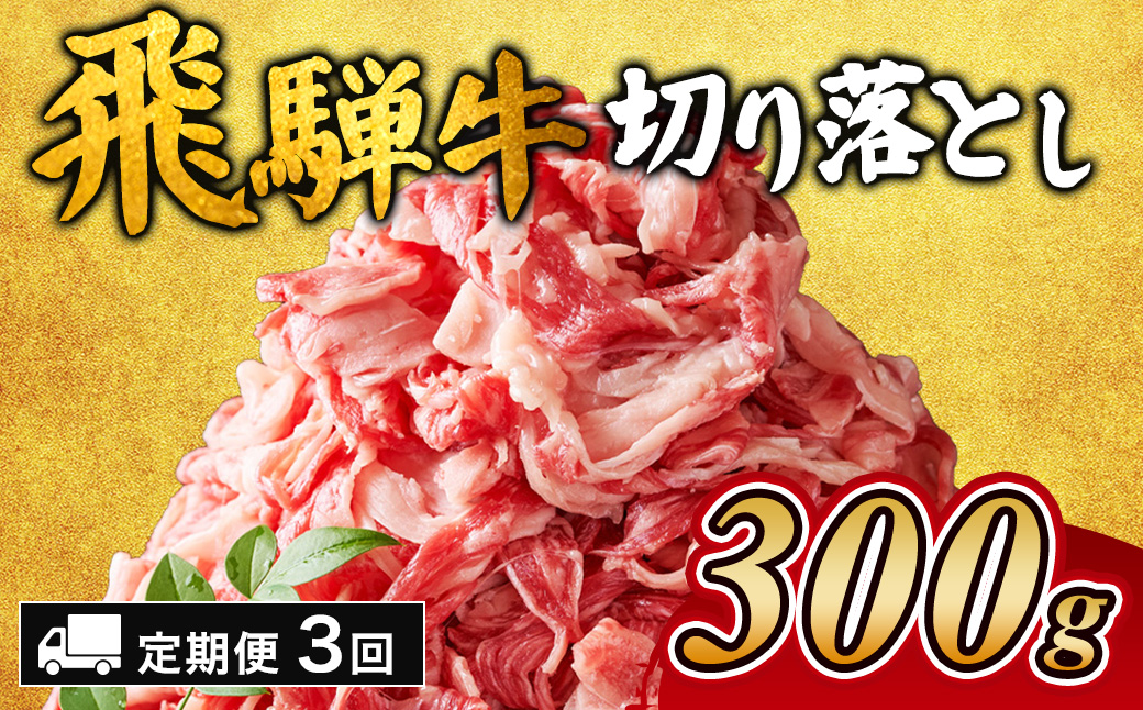 【3ヵ月定期便】飛騨牛切り落とし 300g｜牛肉 和牛 国産 瑞穂市 岐阜県 ※離島への配送不可