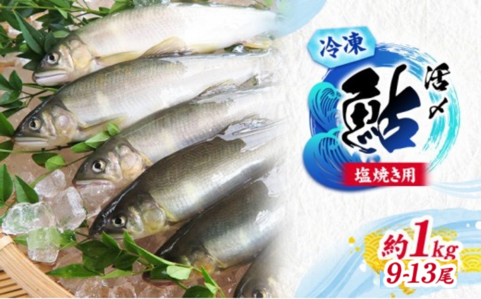 【先行予約】塩焼用 活〆冷凍あゆ 約1kg（9尾～13尾）| 鮎 あゆ アユ 魚介 魚 川魚 塩焼き 鮎めし 雑炊 おかず 簡単 お手軽  岐阜県 瑞穂市 ※北海道・沖縄・離島への配送不可 ※2026年7月上旬～9月中旬頃に順次発送予定