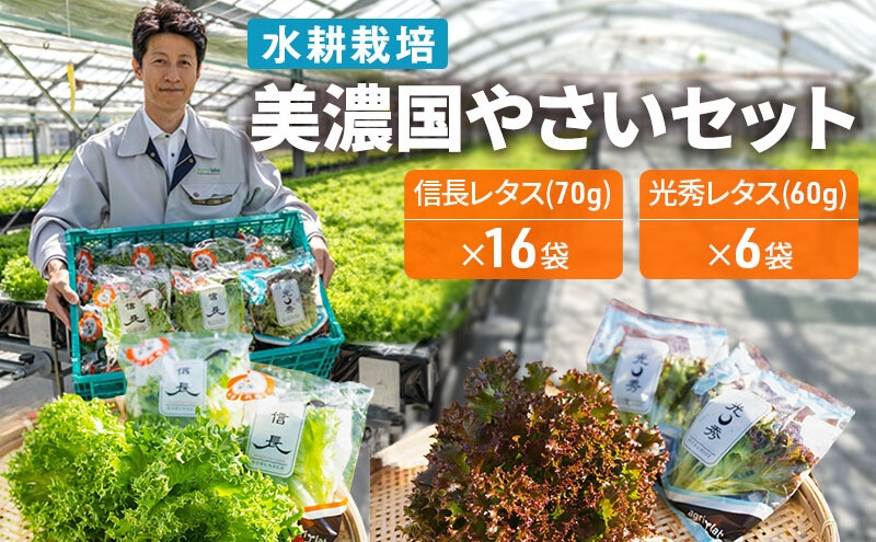 美濃国やさいセット｜野菜 野菜セット レタス フリルレタス 水耕栽培 安全 安心 衛生的 新鮮 シャキシャキ 産地直送 サラダ サンドイッチ ※離島への配送不可