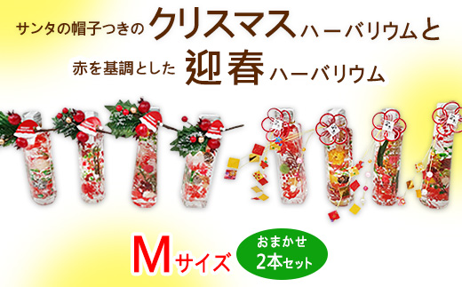 サンタの帽子つきのクリスマスハーバリウムと赤を基調とした迎春ハーバリウム　Mサイズおまかせ2本セット ｜ インテリア ※離島への配送不可 ※2025年12月中旬～12月下旬頃に順次発送予定