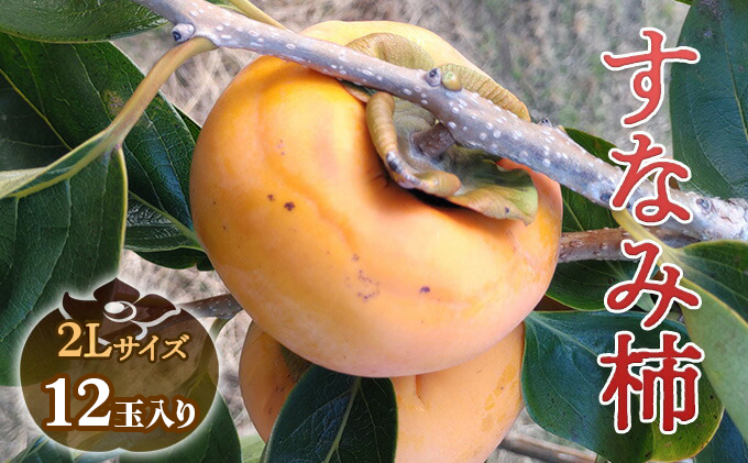瑞穂市発祥の希少甘柿 すなみ柿 贈答用 ※離島への配送不可 ※2025年11月中旬頃より順次発送予定
